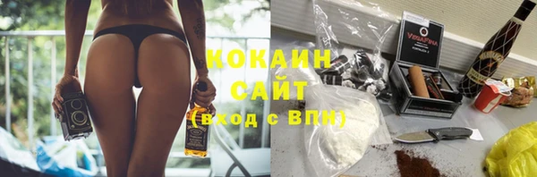 PSILOCYBIN Богородицк