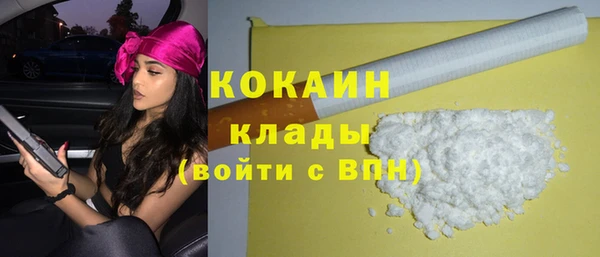 PSILOCYBIN Богородицк