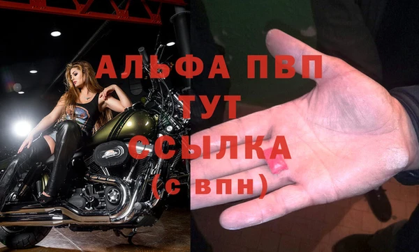 PSILOCYBIN Богородицк
