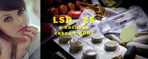 PSILOCYBIN Богородицк